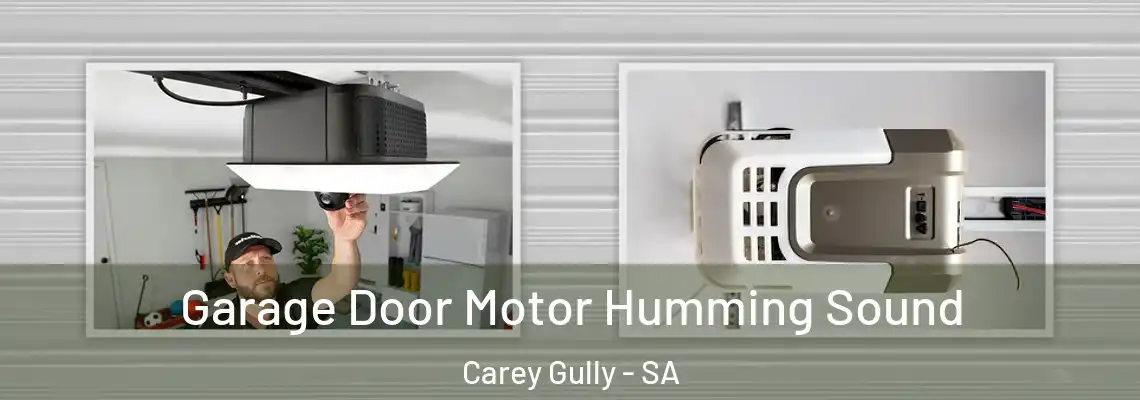  Garage Door Motor Humming Sound Carey Gully - SA