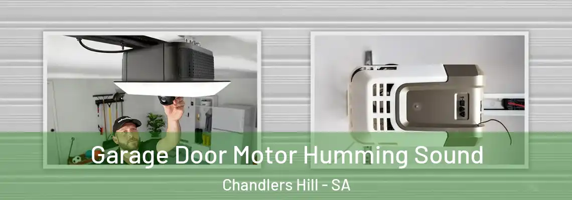  Garage Door Motor Humming Sound Chandlers Hill - SA