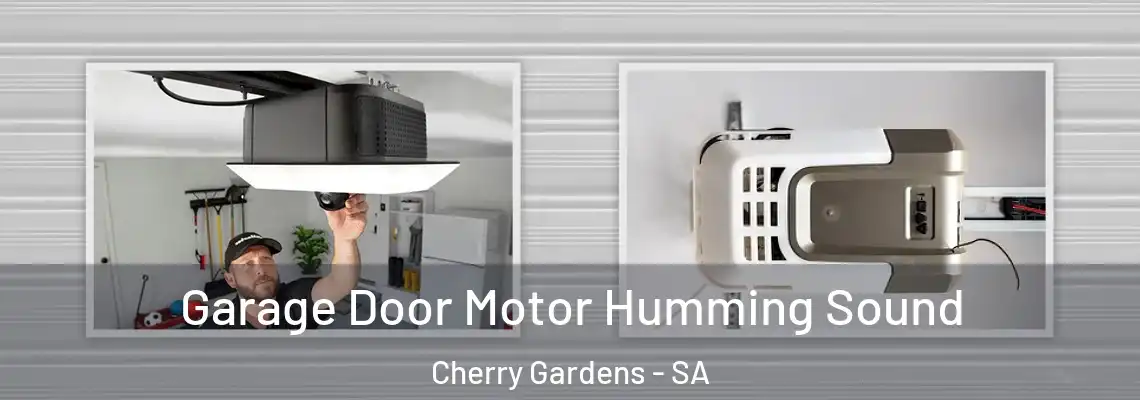 Garage Door Motor Humming Sound Cherry Gardens - SA