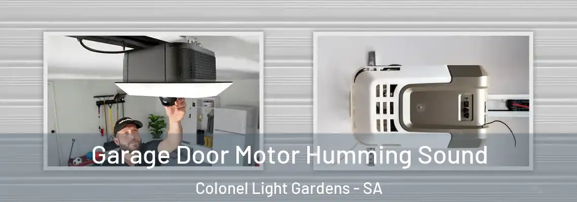Garage Door Motor Humming Sound Colonel Light Gardens - SA