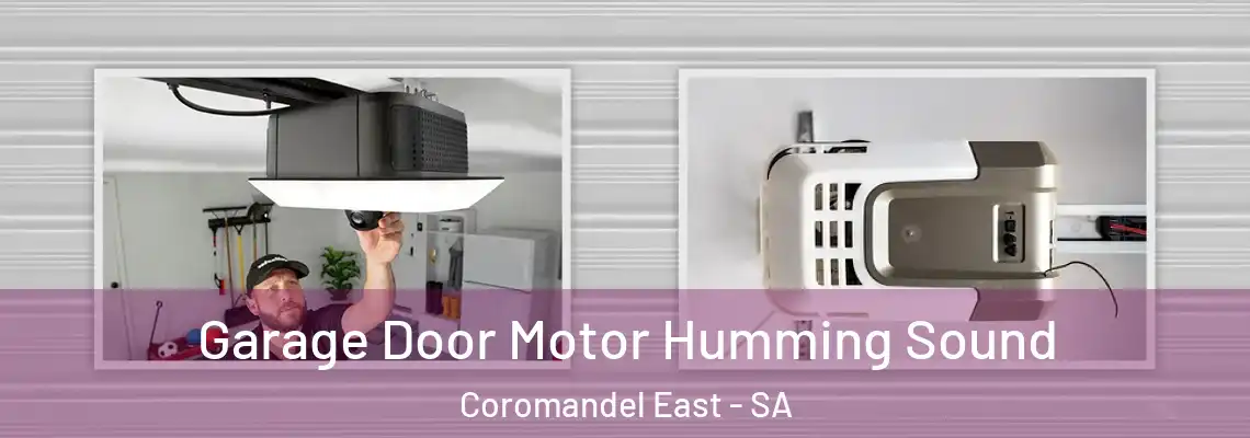 Garage Door Motor Humming Sound Coromandel East - SA