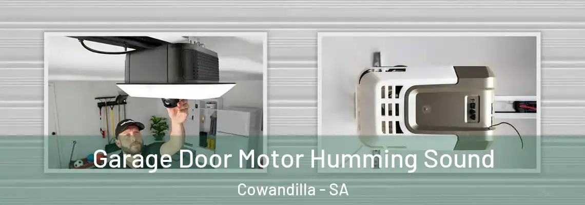 Garage Door Motor Humming Sound Cowandilla - SA