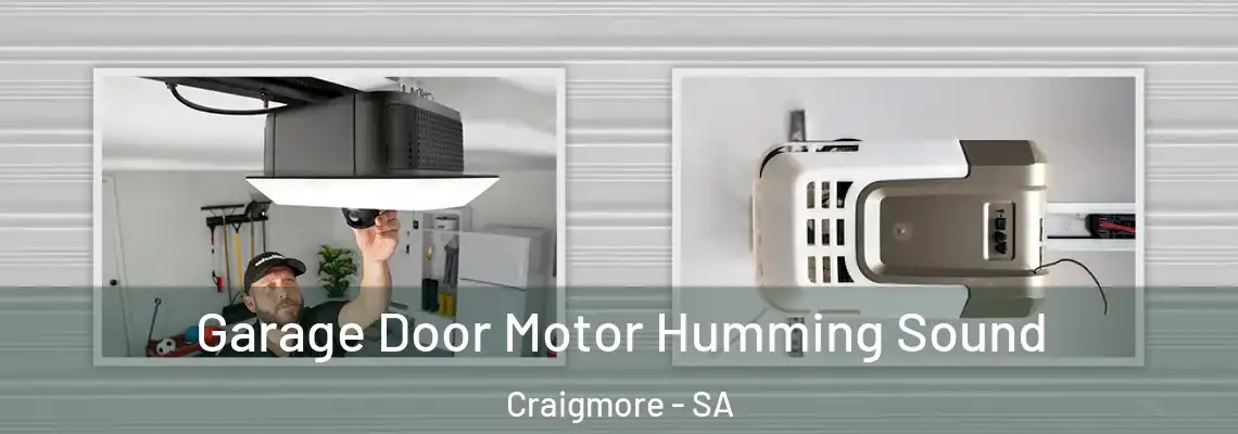Garage Door Motor Humming Sound Craigmore - SA