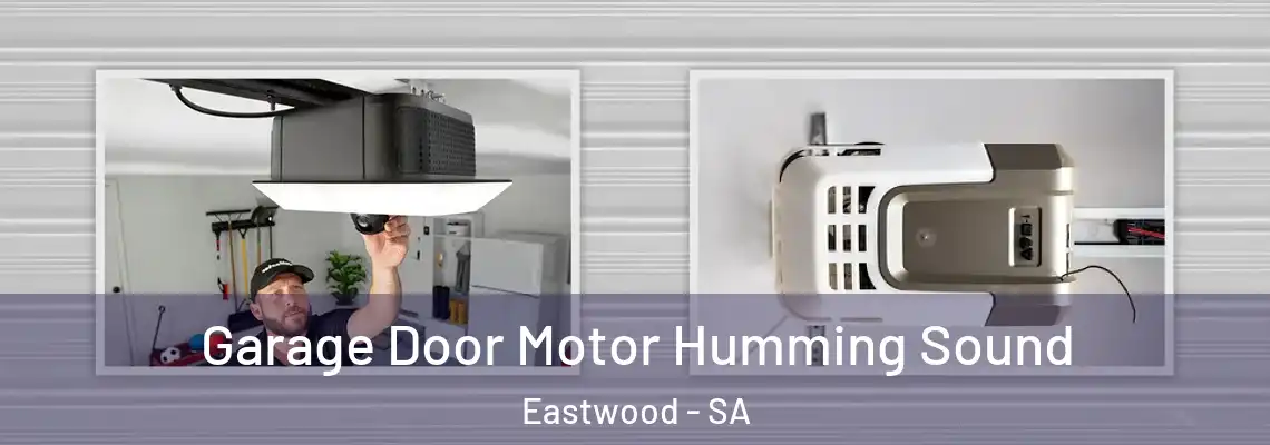 Garage Door Motor Humming Sound Eastwood - SA