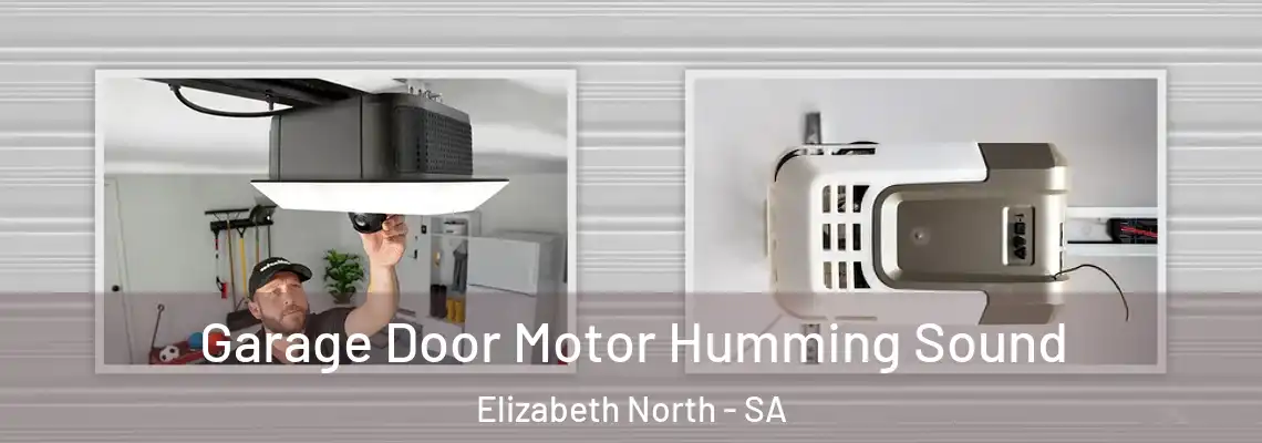  Garage Door Motor Humming Sound Elizabeth North - SA
