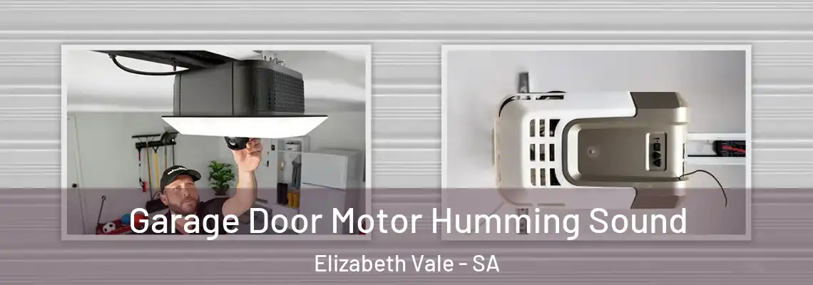  Garage Door Motor Humming Sound Elizabeth Vale - SA