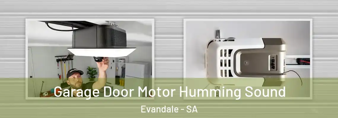  Garage Door Motor Humming Sound Evandale - SA