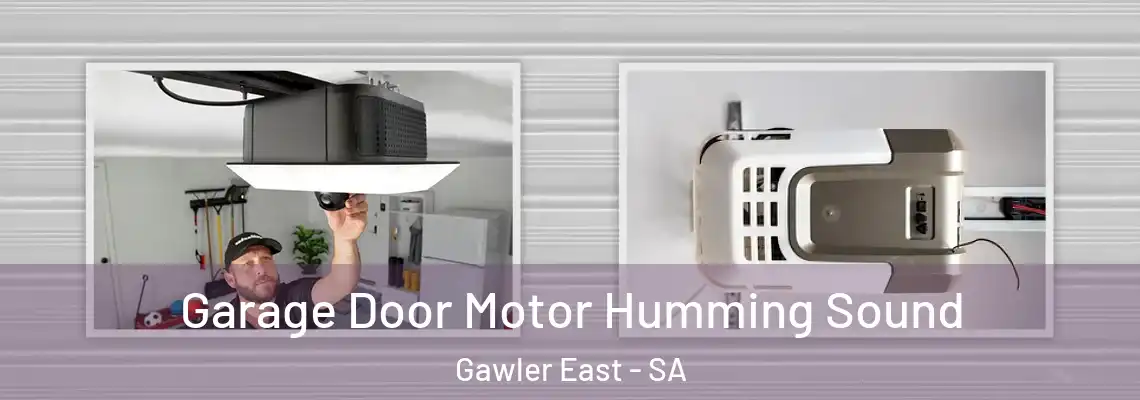 Garage Door Motor Humming Sound Gawler East - SA