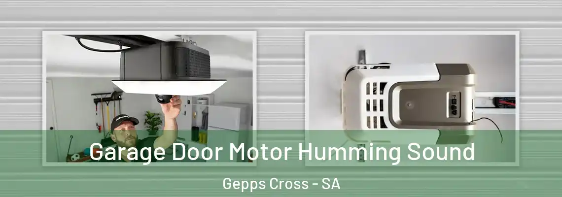  Garage Door Motor Humming Sound Gepps Cross - SA