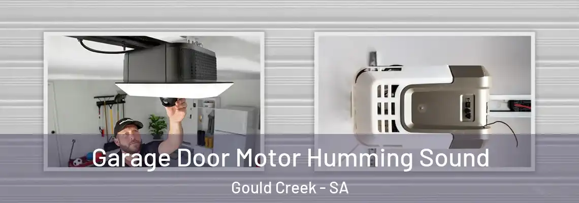Garage Door Motor Humming Sound Gould Creek - SA