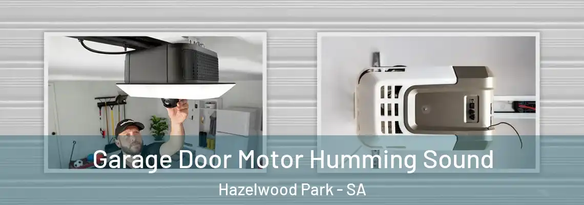 Garage Door Motor Humming Sound Hazelwood Park - SA