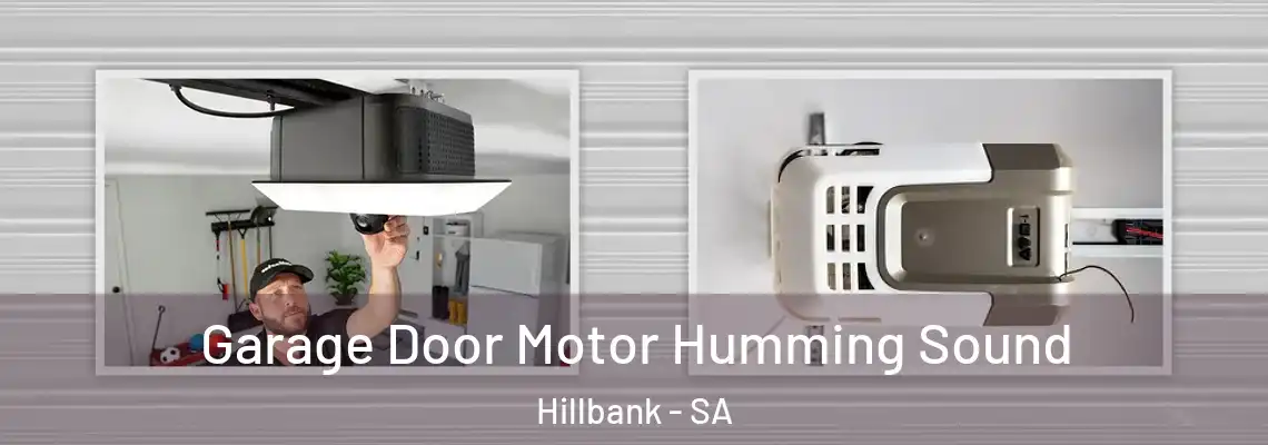 Garage Door Motor Humming Sound Hillbank - SA