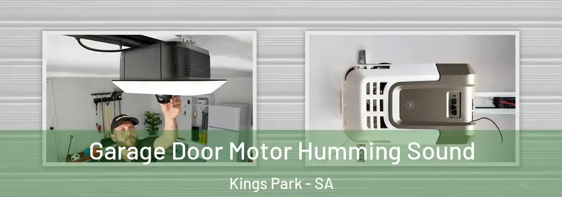  Garage Door Motor Humming Sound Kings Park - SA