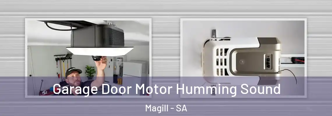 Garage Door Motor Humming Sound Magill - SA