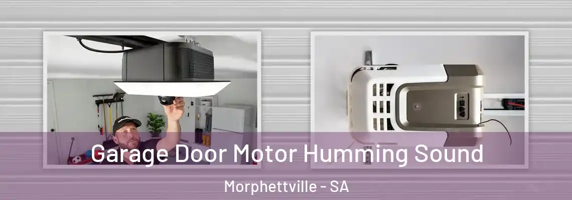 Garage Door Motor Humming Sound Morphettville - SA