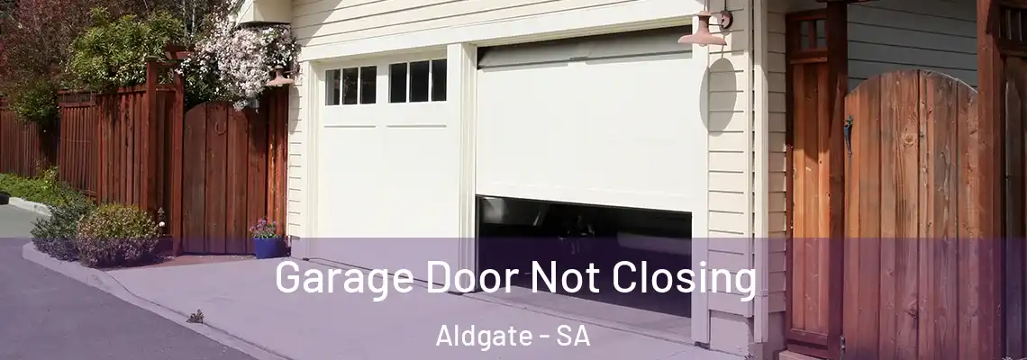 Garage Door Not Closing Aldgate - SA
