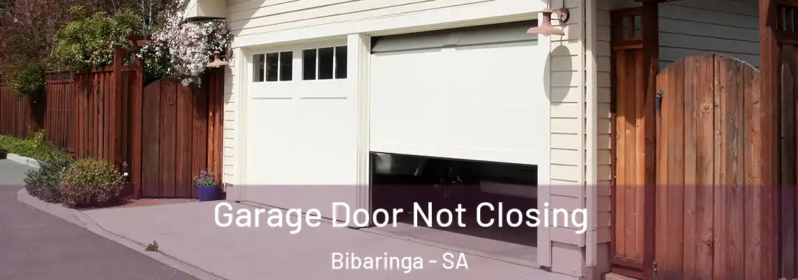 Garage Door Not Closing Bibaringa - SA