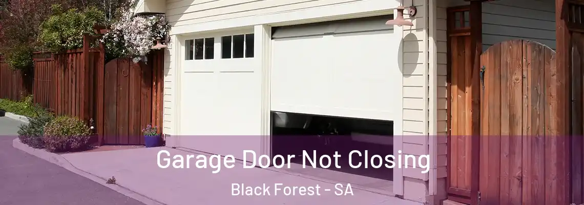Garage Door Not Closing Black Forest - SA