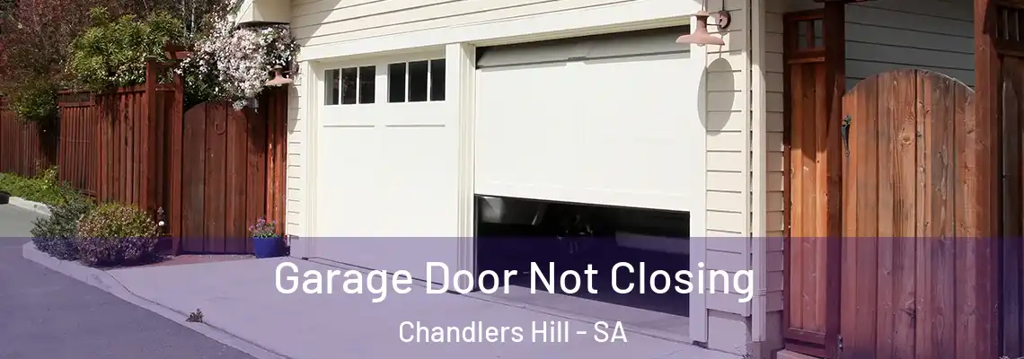  Garage Door Not Closing Chandlers Hill - SA