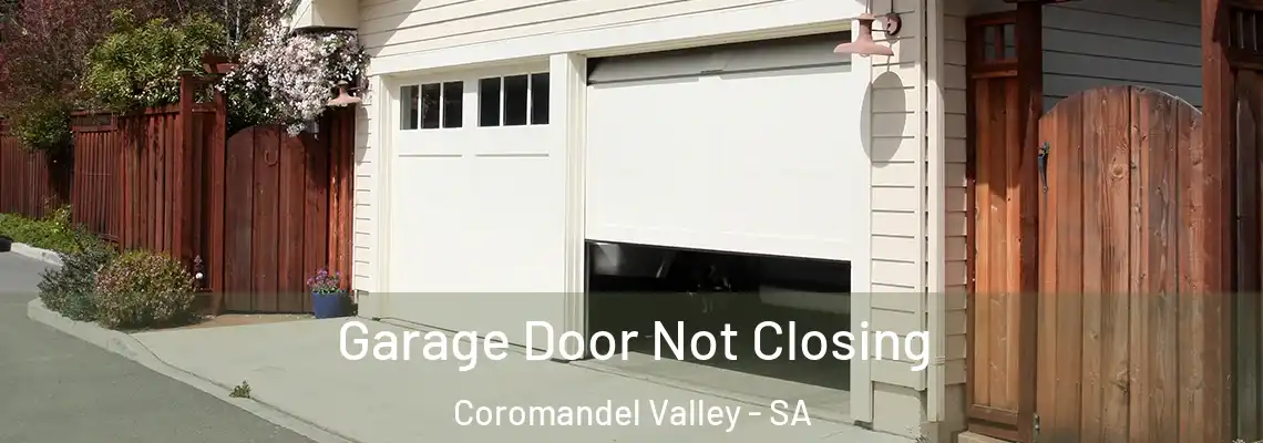 Garage Door Not Closing Coromandel Valley - SA