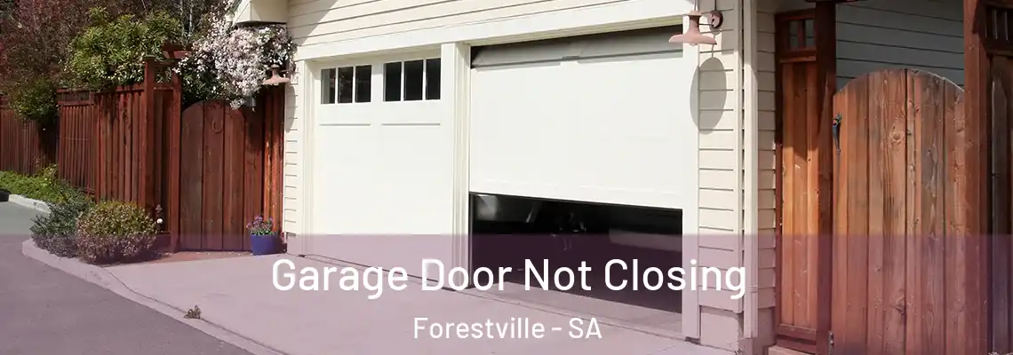 Garage Door Not Closing Forestville - SA