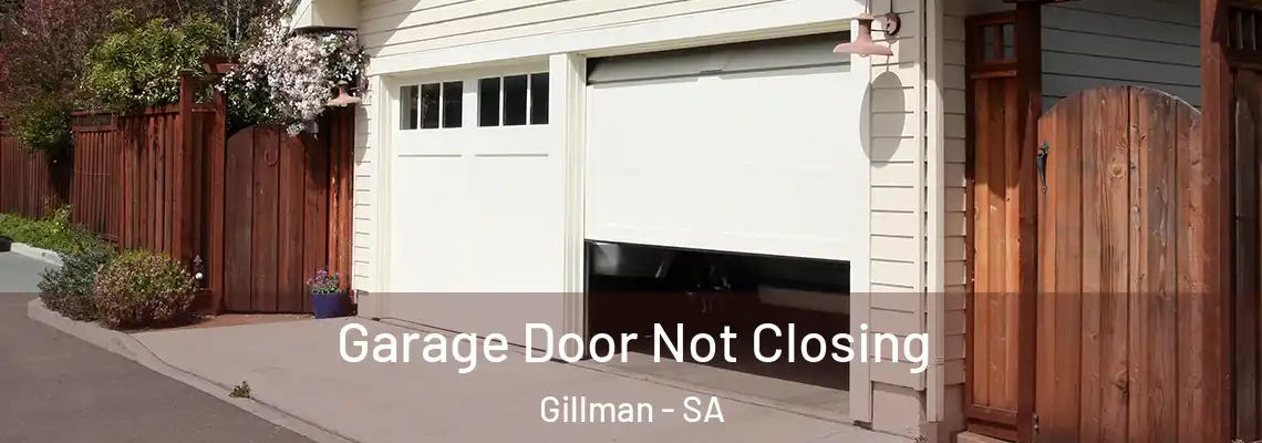 Garage Door Not Closing Gillman - SA