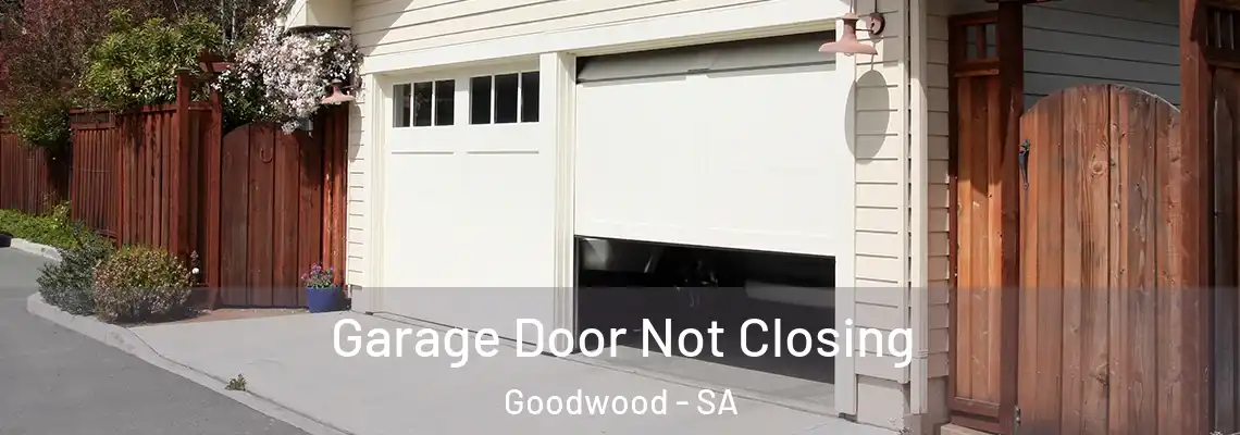 Garage Door Not Closing Goodwood - SA