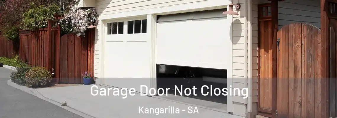  Garage Door Not Closing Kangarilla - SA