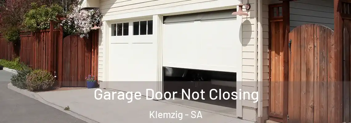 Garage Door Not Closing Klemzig - SA
