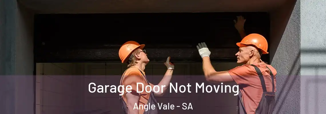 Garage Door Not Moving Angle Vale - SA