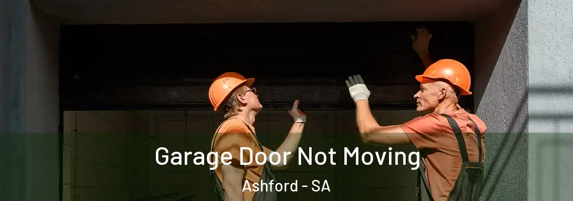Garage Door Not Moving Ashford - SA