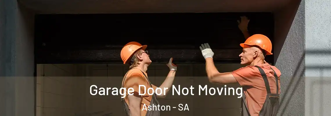 Garage Door Not Moving Ashton - SA