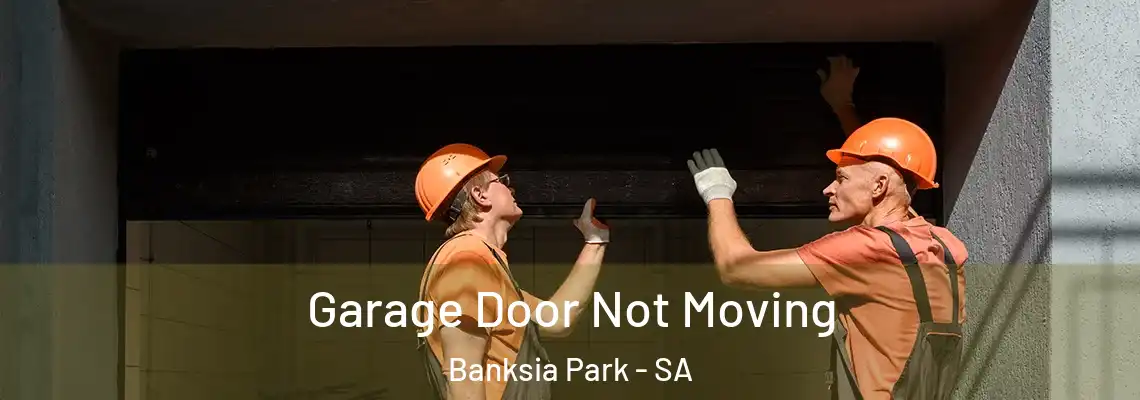  Garage Door Not Moving Banksia Park - SA