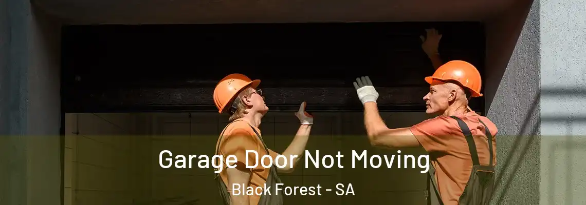  Garage Door Not Moving Black Forest - SA