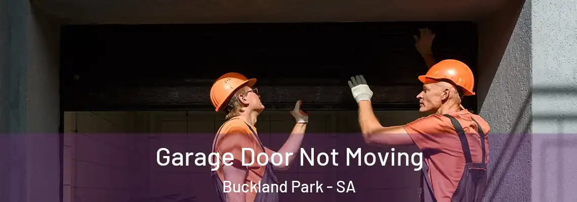 Garage Door Not Moving Buckland Park - SA