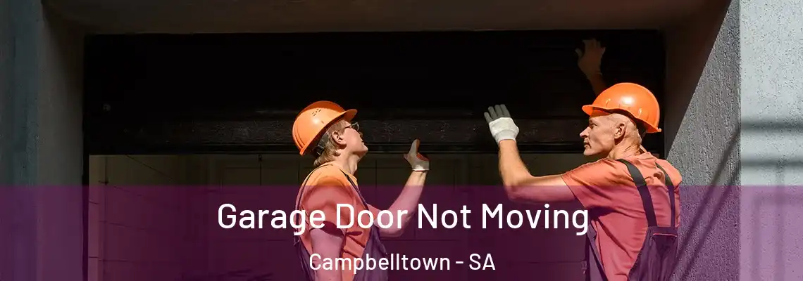  Garage Door Not Moving Campbelltown - SA