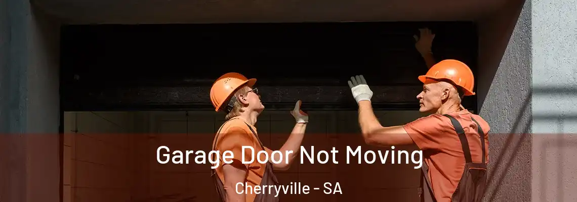  Garage Door Not Moving Cherryville - SA
