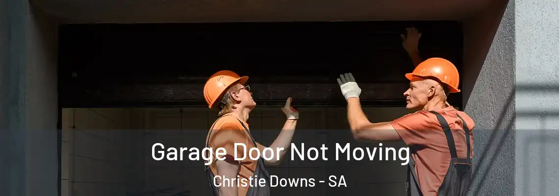  Garage Door Not Moving Christie Downs - SA