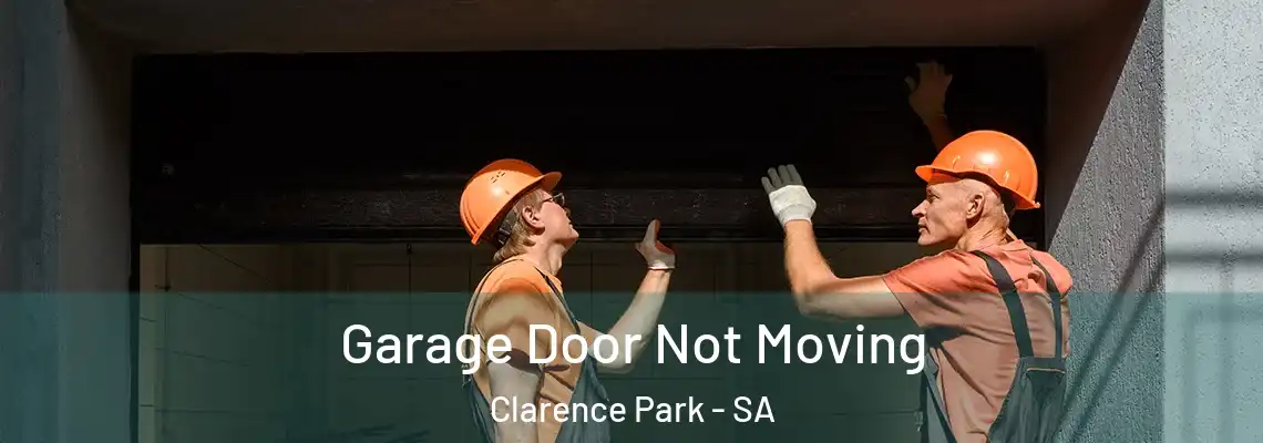Garage Door Not Moving Clarence Park - SA
