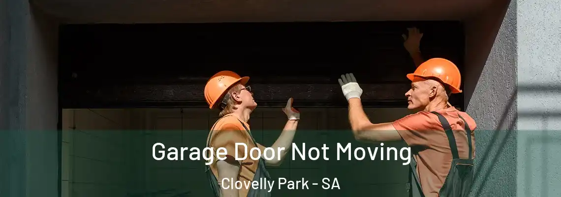 Garage Door Not Moving Clovelly Park - SA