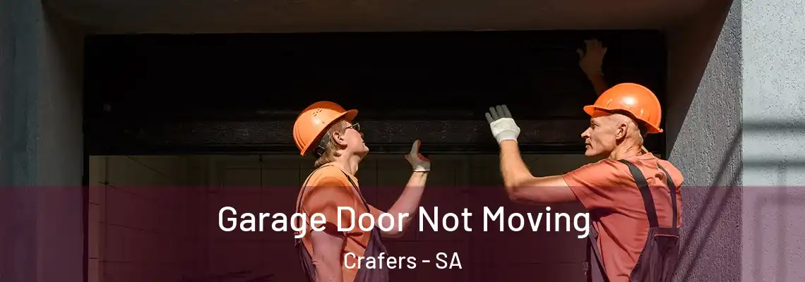  Garage Door Not Moving Crafers - SA