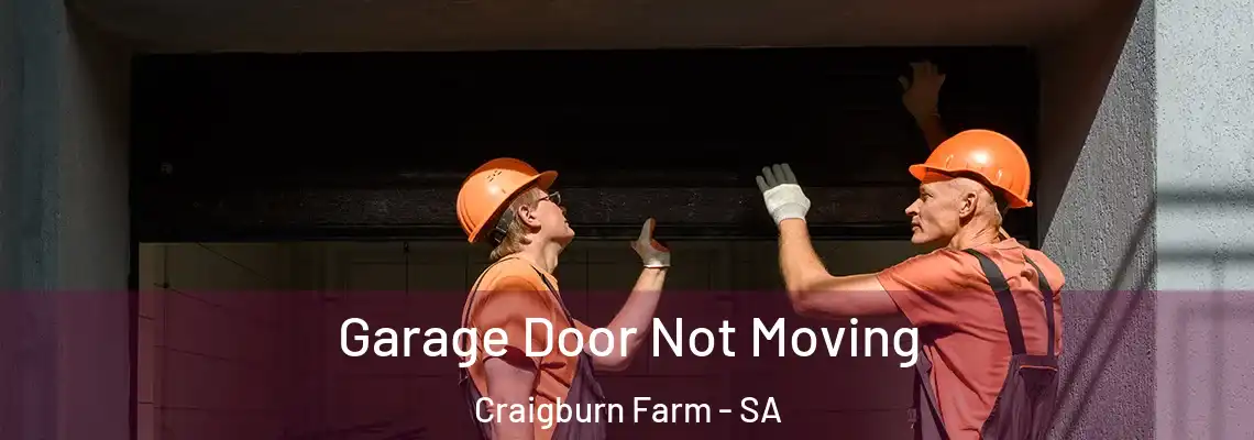  Garage Door Not Moving Craigburn Farm - SA
