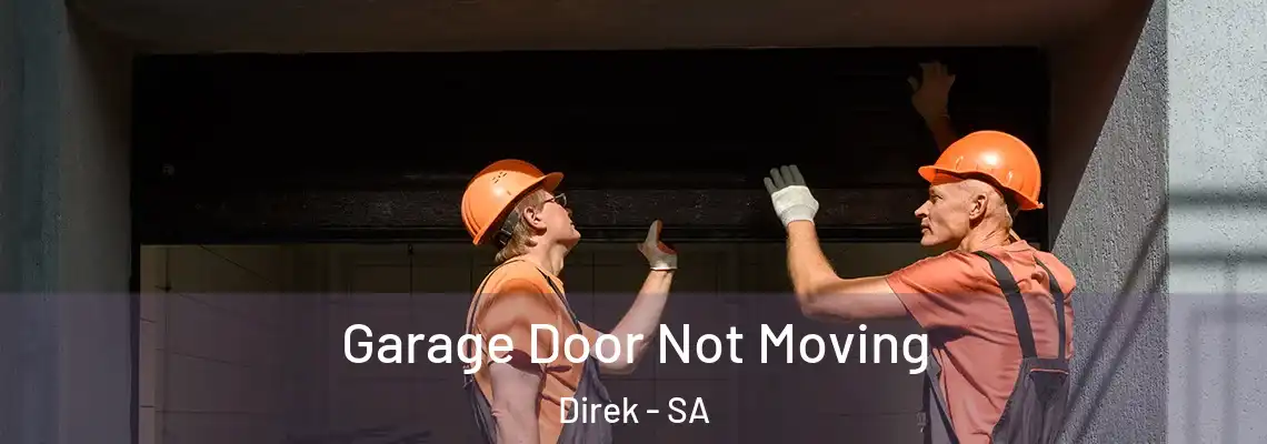 Garage Door Not Moving Direk - SA