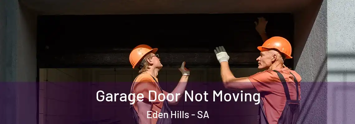  Garage Door Not Moving Eden Hills - SA