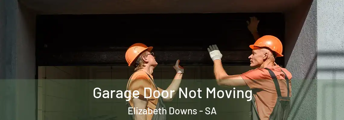 Garage Door Not Moving Elizabeth Downs - SA