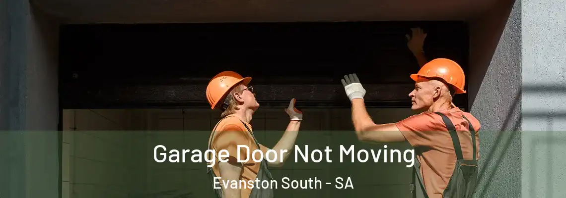 Garage Door Not Moving Evanston South - SA