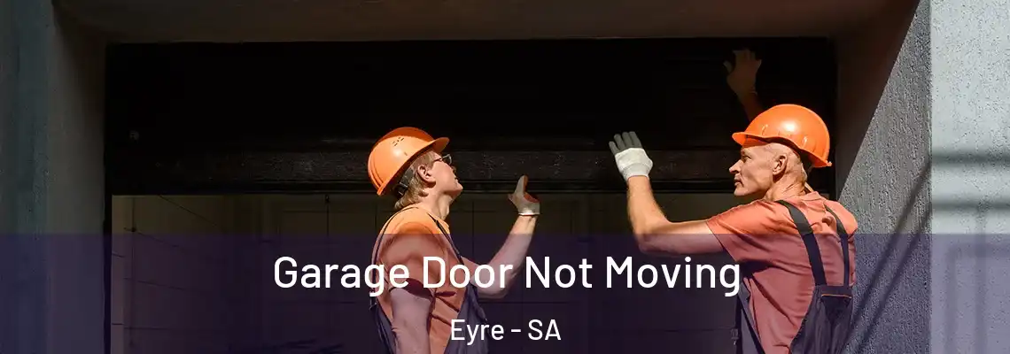  Garage Door Not Moving Eyre - SA
