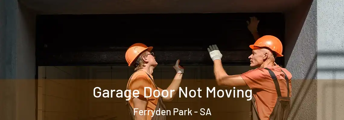 Garage Door Not Moving Ferryden Park - SA