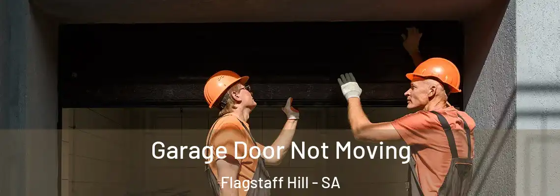 Garage Door Not Moving Flagstaff Hill - SA