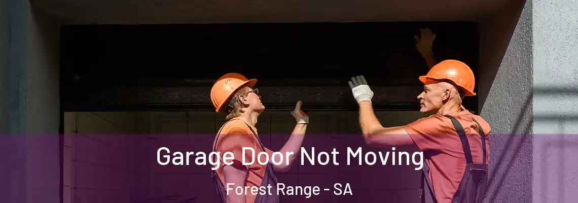 Garage Door Not Moving Forest Range - SA